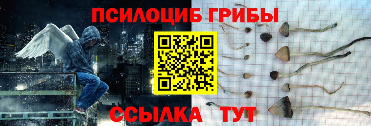 Галлюциногенные грибы MAGIC MUSHROOMS  Вход с VPN  Галлюциногенные грибы мухоморы  Железногорск 